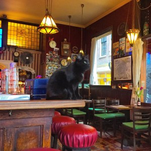 2015-02-09 09.56.09-2